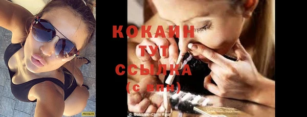 соль ск Каменногорск