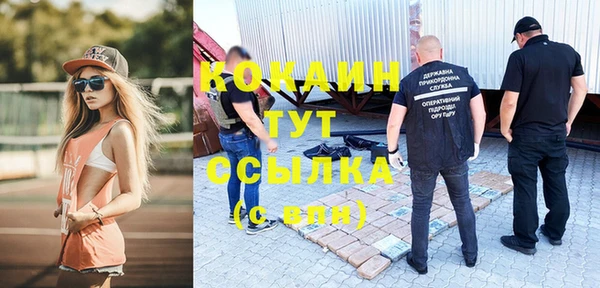 стаф Каменск-Шахтинский