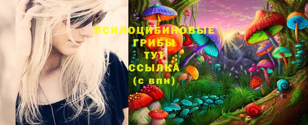 PSILOCYBIN Карпинск