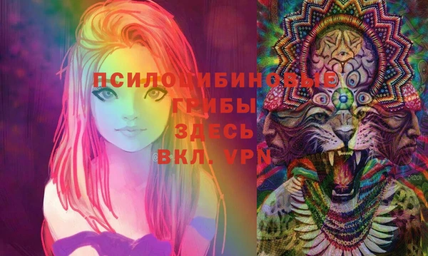 PSILOCYBIN Карпинск
