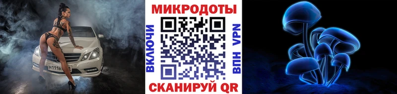 Псилоцибиновые грибы мицелий KRAKEN tor Кораблино